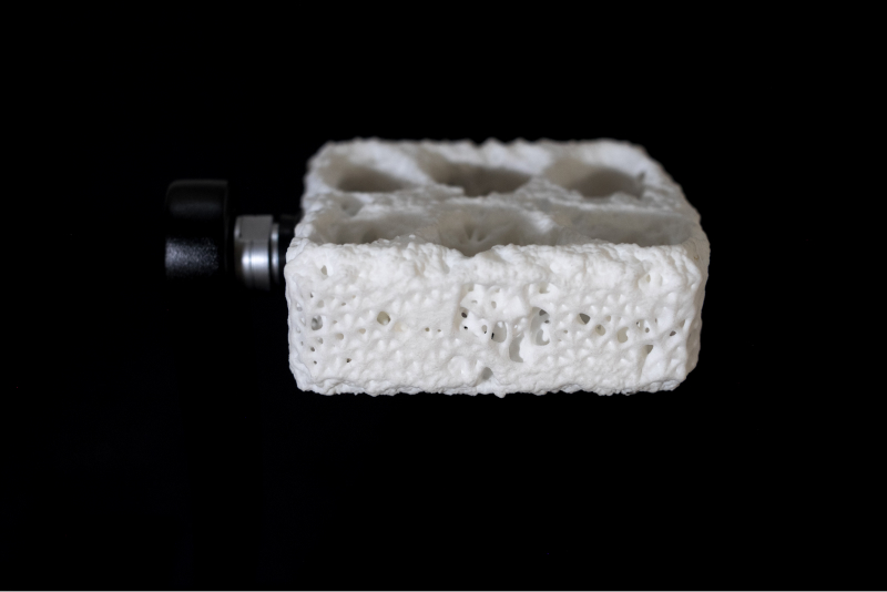 Generative 3d printed bike pedal